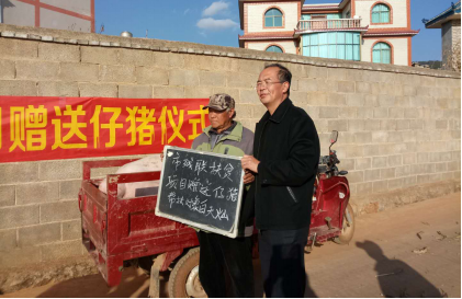 图片3
