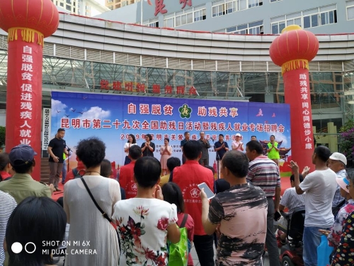 第29次全国助残日暨就业援助专场招聘会