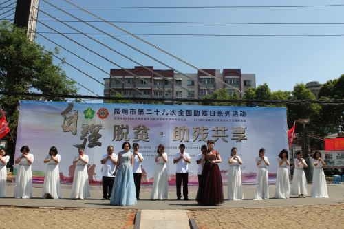 第29次全国助残日桃源广场活动8