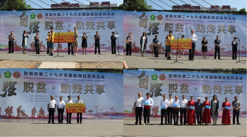 第29次全国助残日桃源广场活动3