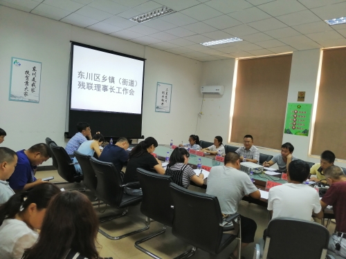 乡镇街道残联理事长工作会