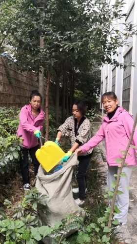 石林县残联2019年10月谷琼丽赵丽娟钱丽辉绿化区捡垃圾