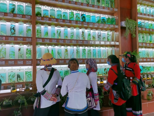 残疾人文化进家庭活动 (10)