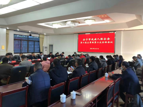 图片4