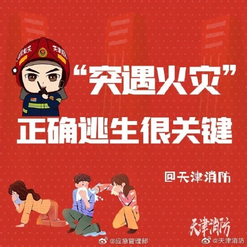 微信图片_20241226102315