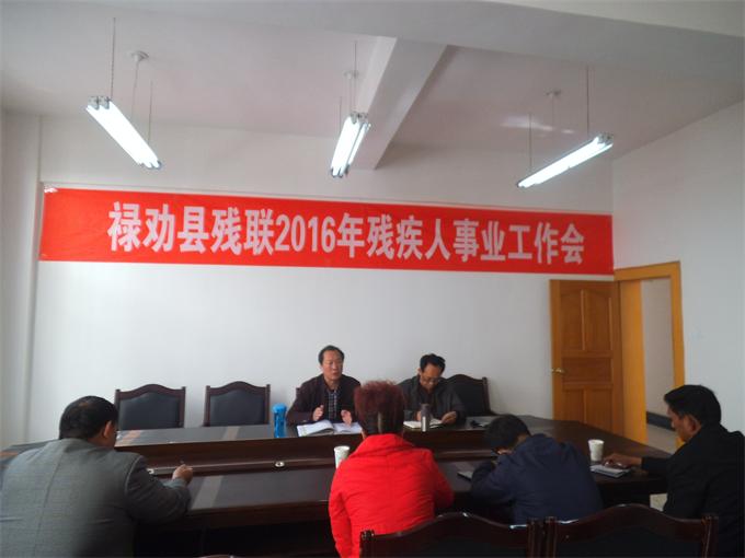 禄劝彝族苗族自治县残疾人联合会召开2016年残疾人事业暨扶贫摘帽工作会议